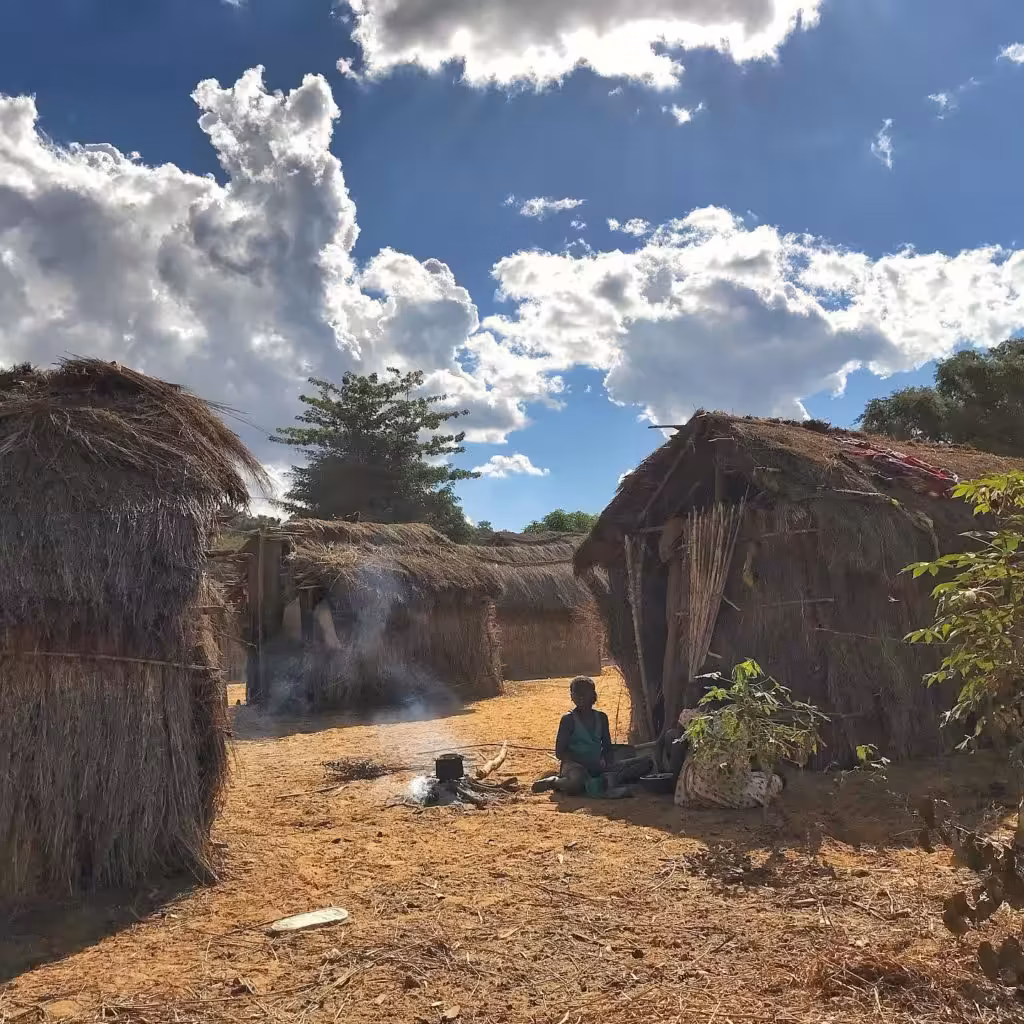 65192856_1119984134852179_4667229007945662464_o